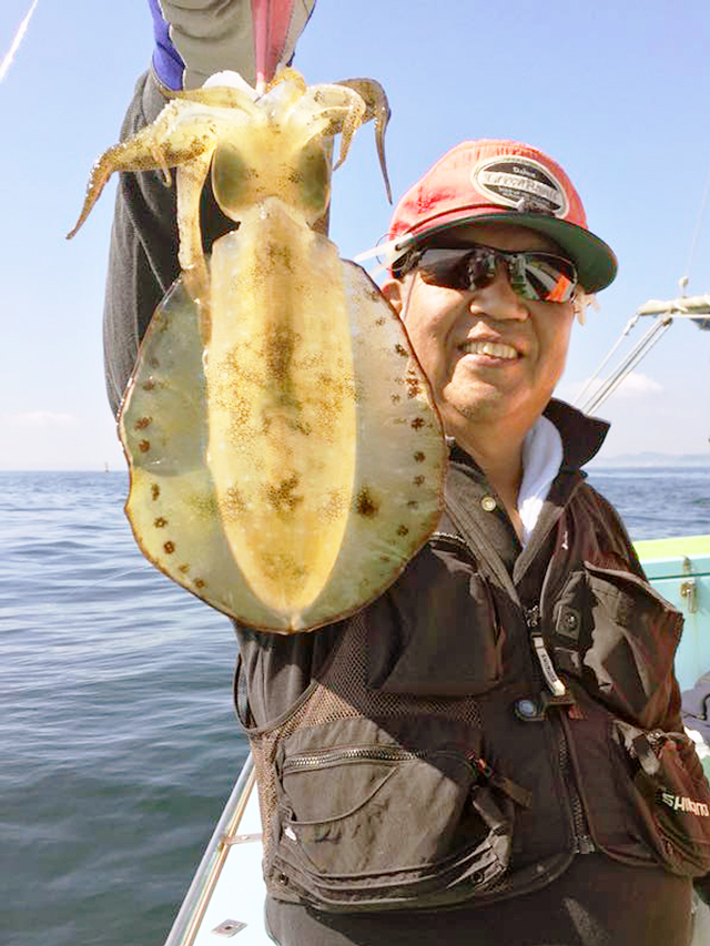 キングofイカ 東京湾のアオリイカ開幕好調 釣りビジョン マガジン 釣りビジョン