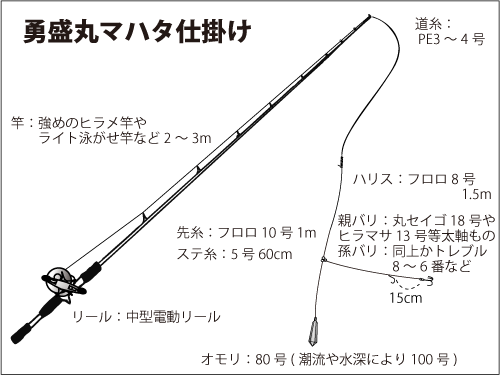 千葉県 大原 岩船沖 イワシ餌で大型マハタを狙う オフショアマガジン 釣りビジョン