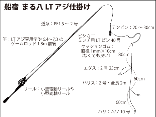 東京湾のアジをlt ライトタックル で徹底攻略 釣りビジョン マガジン 釣りビジョン