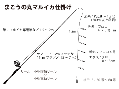 神奈川県 茅ヶ崎沖のマルイカ 出足快調 釣りビジョン マガジン 釣りビジョン 神奈川県 茅ヶ崎沖のマルイカ 出足快調 釣りビジョン マガジン 釣りビジョン