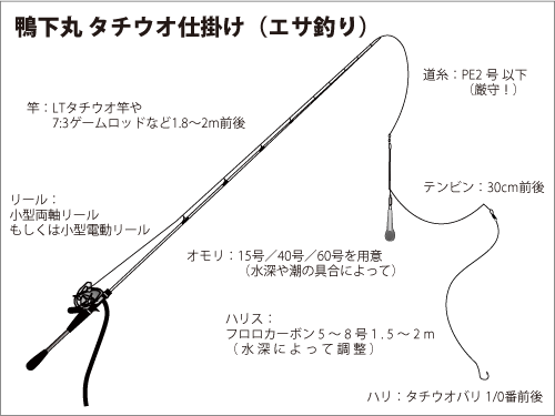 東京湾のタチウオ 近年稀に見る魚影の濃さ オフショアマガジン 釣りビジョン