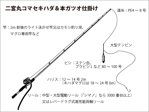 相模湾の熱い夏が開幕 キハダ 本ガツオが高活性 オフショアマガジン 釣りビジョン