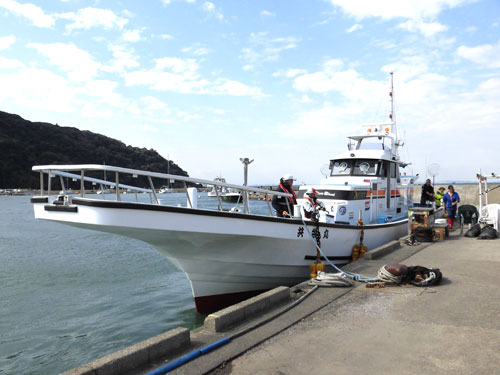千葉県 富浦沖のアオリイカ ティップランで攻略 釣りビジョン マガジン 釣りビジョン 千葉県 富浦沖のアオリイカ ティップランで攻略 釣りビジョン マガジン 釣りビジョン