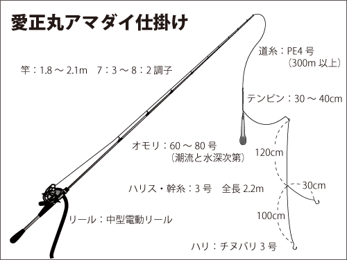 冬の相模湾を熱くする人気ターゲット アマダイが開幕 オフショアマガジン 釣りビジョン