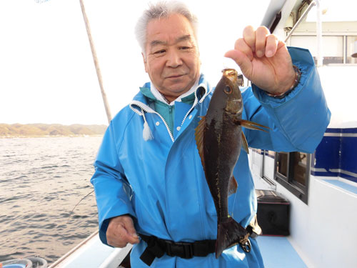 狙い通りのジャンボイサキ