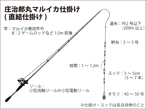 相模湾のマルイカ ムギイカ 目指せ100杯超え オフショアマガジン 釣りビジョン