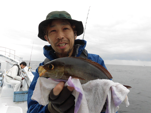 千葉県 南房 白間津沖のイサキ 良型揃いで絶好調 オフショアマガジン 釣りビジョン 千葉県 南房 白間津沖のイサキ 良型揃いで絶好調 オフショアマガジン 釣りビジョン
