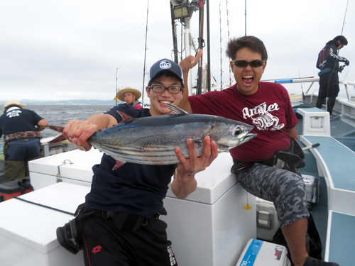 神奈川県 相模湾のキハダマグロ 本ガツオ コマセ釣りで大興奮 オフショアマガジン 釣りビジョン