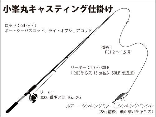 まだ間に合う 東京湾奥のサワラのキャスティングゲームが熱い 釣りビジョン マガジン 釣りビジョン