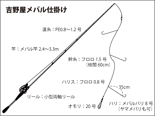 東京湾のエビ メバル開幕 春よ来い オフショアマガジン 釣りビジョン