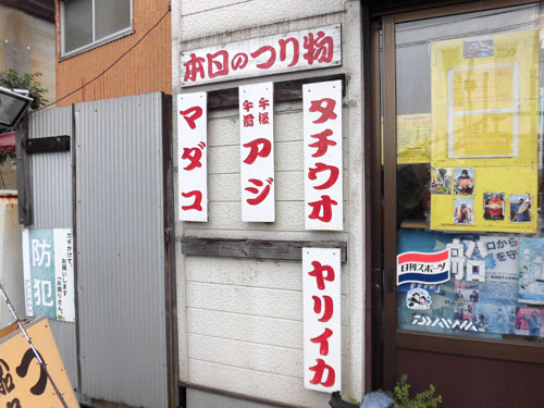 この日の釣り物はマダコ、タチウオそしてアジ