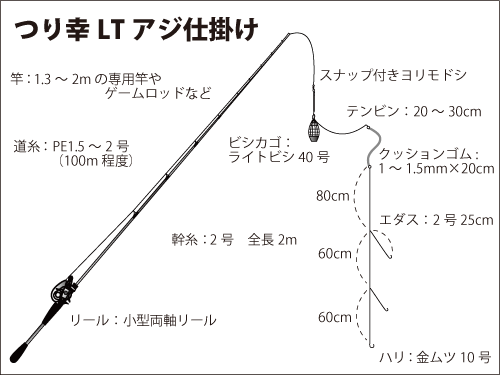 東京湾のlt ライトタックル アジ 数釣りモード 釣りビジョン マガジン 釣りビジョン