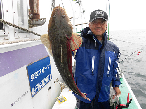 この50cmオーバーで5匹に!