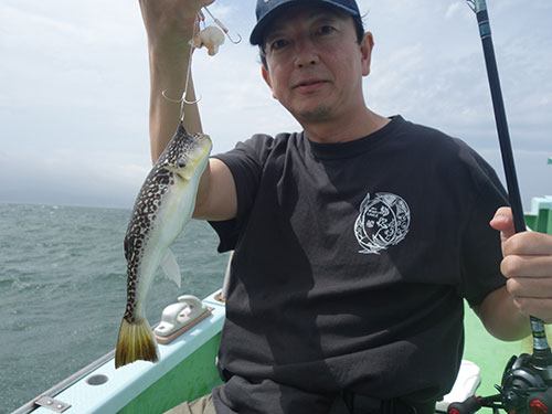 チラシが良いと教えてくれた