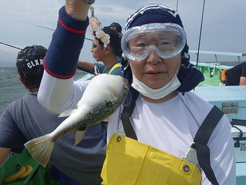 膨らむとかわいいフグ