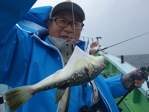 やった、釣れたよ