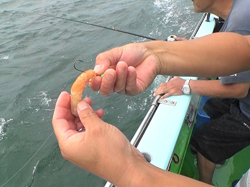 エビをオモリまでスライド