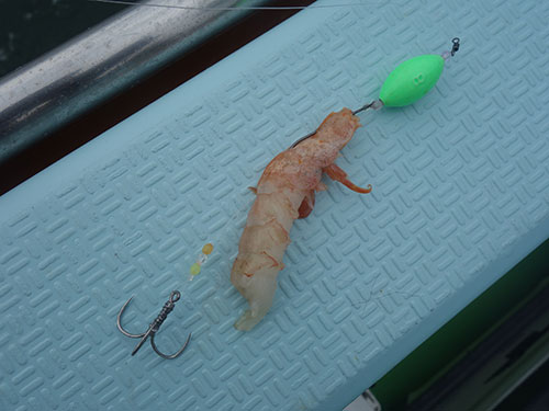 エビは、殻を残して針をまっすぐに刺す