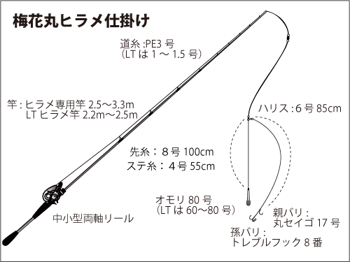 仕掛け図