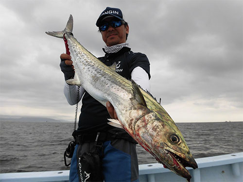 12cmミノーのトゥイッチに出た2.4kg!