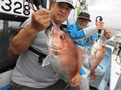 2.1kgと1.5kg、浅場のマダイは走る!