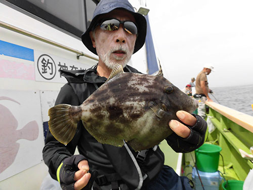 もはや見慣れた感があるが32cmの大物