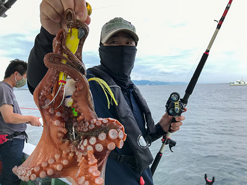 タコエギで狙う大阪湾のタコ ビギナーにもオススメ オフショアマガジン 釣りビジョン タコエギで狙う大阪湾のタコ ビギナーにもオススメ オフショアマガジン 釣りビジョン