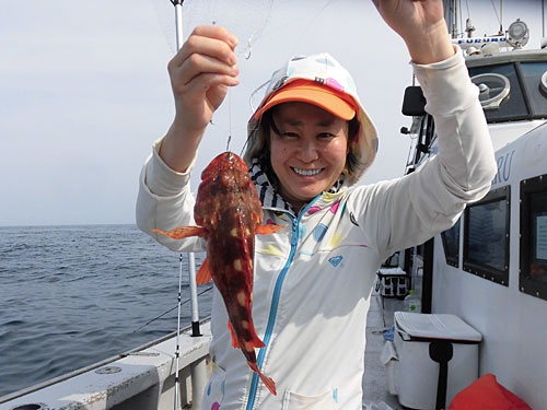 型の良いカサゴも釣れた