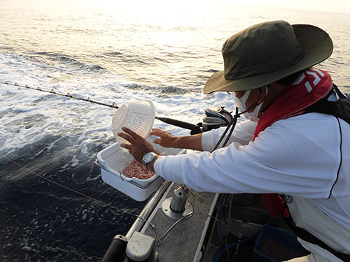 釣り座の支度は釣り場に着いてから