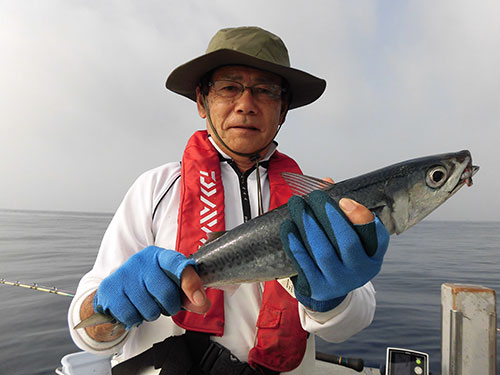 船中一番手の魚は良型のゴマサバだった