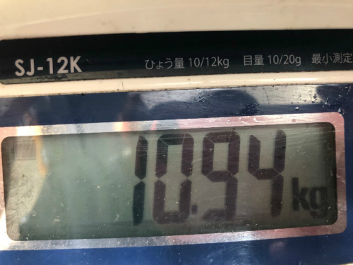 10.94kg!96cm!