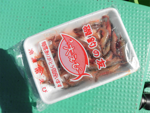 付け餌の冷凍エビ