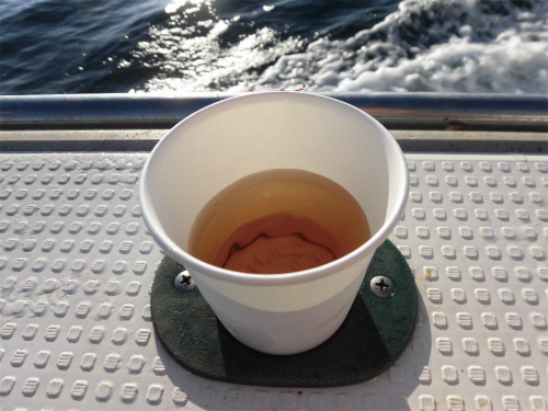 朝一、冷えた麦茶が振る舞われた