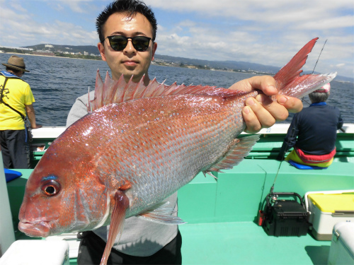 2.5kg!この日最大のマダイ!