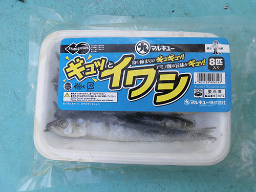 “テンヤ”のイワシ餌は1パック500円