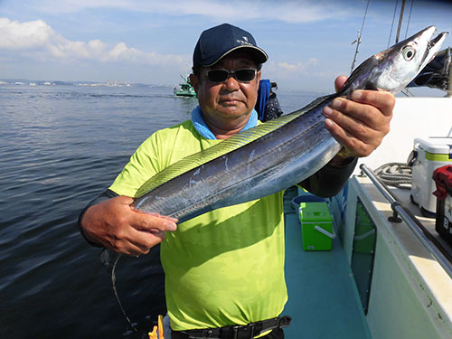 “テンヤ”で釣れるタチウオはデカい!