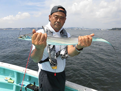 餌釣りで釣れたタチウオ