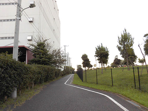 公園横を抜けると船宿