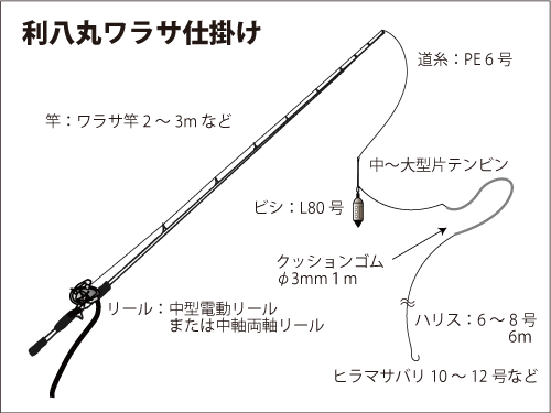 千葉県 内房 勝山沖のワラサ 数 型ともに絶好調 釣りビジョン マガジン 釣りビジョン