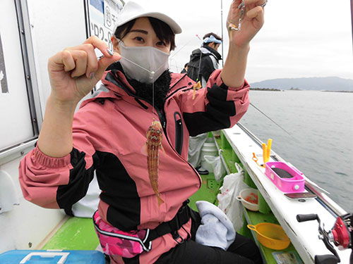 釣果情報に載らないが相当釣れるトラギス
