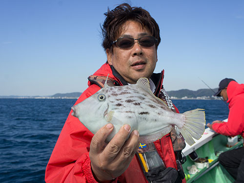 良型ヒット