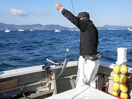 トモでもタチウオ乱舞!