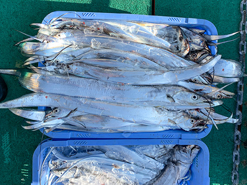 1人の釣果!