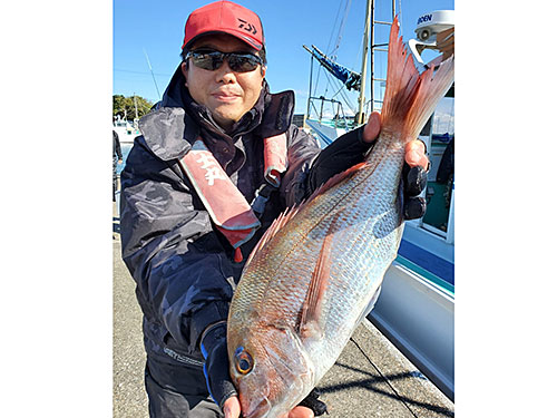 マダイ1.6kg頭に12匹!