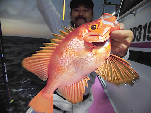 船中最初の獲物はチカメキントキ