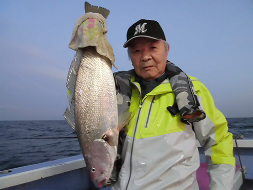 立派なオオニベも上がった