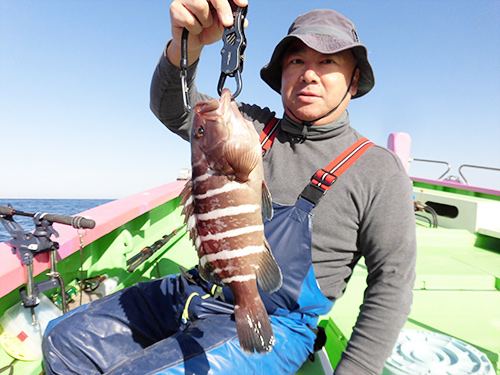 この日もマハタが釣れました