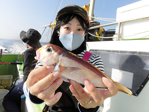 「アマダイ釣れました!」