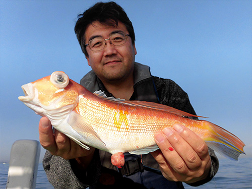 40cm級の良型アマダイ!