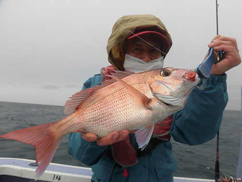 根気の釣りで“美味しいサイズ”